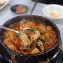 일광장어 이미지