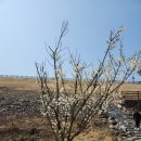 금오산도립공원 올레길 화장실 이미지