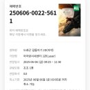 아리랑센터 1층(공연자용) | 아리랑시네센터에서 조조 영화 드래곤길들이기