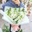 라망드플라워 이미지