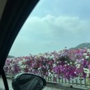 쥬빈스 | [충북 단양] 한여름 더위를 피해 행복하게 보낸 단양 1박2일 후기!!