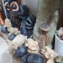 카이스트학원 이미지