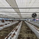 호우농장 이미지