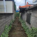 도깨비민박 | 강릉 주문진 1박 2일 여행 코스 (바다 근처 도깨비 촬영지 민박, 맛집, 카페, 관광지 등)