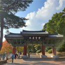 Mountain World 이미지