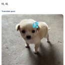 불이산방 | 여름이온다..