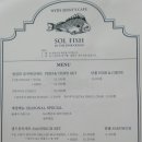 솔 피시 이미지