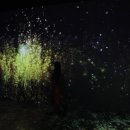 아르떼뮤지엄 이미지