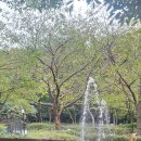 팔각쉼터 앞 이미지