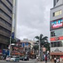 거금도뽀빠이야채마을 | 오키나와 여행 :: 렌트카 없이 여행하기 2일차 (하루하루투어 북부 버스투어 내돈내산) - 아메리칸...