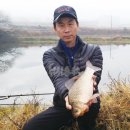 담안2 이미지