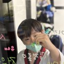 용인대 국가대표 해들 태권도 | [공지] 안락동태권도 반여동태권도 새길태권도 아이마다 다른 태권도 수련법? MBTI로 보는 기질 맞춤...