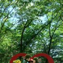 송죽 Daum카페