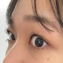 크레이지폭스 | 홍대속눈썹펌 크레이지폭스뷰티 애딕트 속눈썹펌 후기