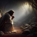 자유 여인숙 이미지