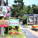 위락농장 네이버블로그