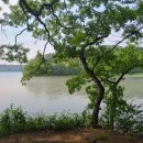 신기4길 이미지