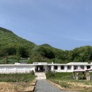 일상화글램핑 이미지