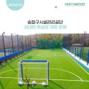 안녕;성내천 이미지