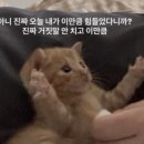 뽀뽑뽀 네이버블로그