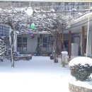 청송달기약수삼계탕 이미지