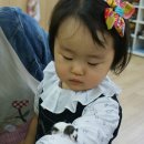팬터하우스 이미지