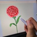 그림그림 이미지
