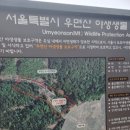 우면산자연생태공원 티스토리
