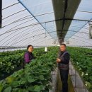 김정기농장 이미지