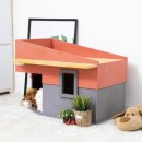 댕이멍이 이미지