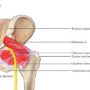 고려본정형외과의원 이미지
