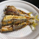 어은돌 | [태안] 아기가 좋아하는 “어은돌캠핑장” 다녀온 후기 / 캠핑장 추천메뉴