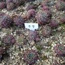 연정농장 이미지