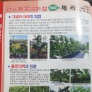 체리사랑농원 이미지