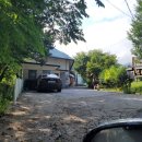 퍼니멍멍 이미지