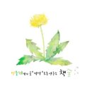 배움샘 독서회 네이버블로그