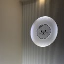 세온그루밍 이미지