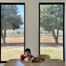 동선목장 | 제주도 3박4일 4일차 일정｜아이와 서귀포 여행 코스 (목장체험+오메기떡+공항동선)