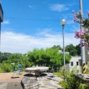 다복가마솥참옻닭 | ## 세종 황금옻닭: 여름 몸보신 제대로! 솔직 후기 (목백일홍 꽃은 덤!) 🌸