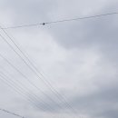 안덕면 드럼 이미지