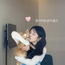 예원미디어 - 양산시 중앙로 279 | 예원미디어