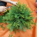 영락도서관 이미지