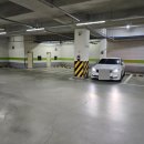 에스엘프라자(핑크타이거) 이미지