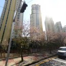 디에스엘 주식회사 이미지