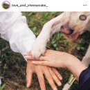 멍스 컨테이너 이미지