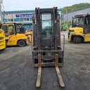 [할인판매] 두산 2.5톤지게차 특A급! 2019년 말소장비 1500만원 디젤 중고직거래 이미지