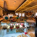 개미똥구멍 | 251219 데이식스 클콘 첫콘 후기 : 2025 DAY6 Special Concert 'The Present'