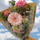 부경원예농업협동조합 이미지