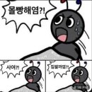 몰빵집