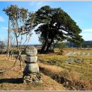 어단1리 이미지